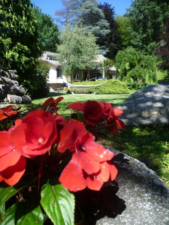 Il Colombe B&B Barzanò Kültér fotó