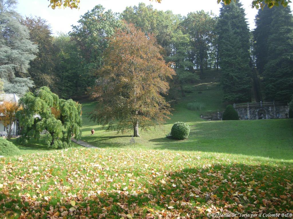 Il Colombe B&B Barzanò Kültér fotó